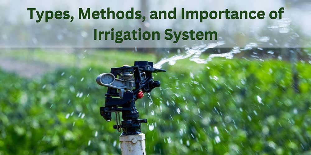 Types, Methods, and Importance of Irrigation Systems