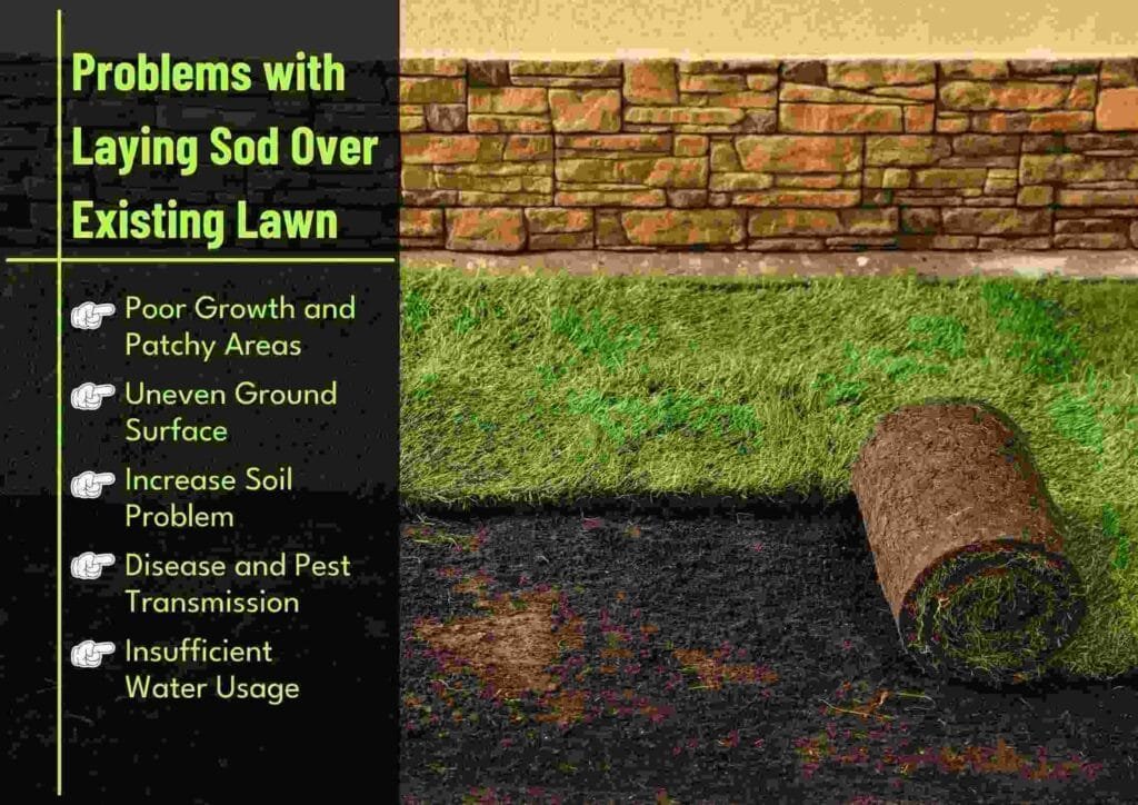 Problems with Laying Sod Over Existing Lawn-compressed