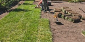 sod installation