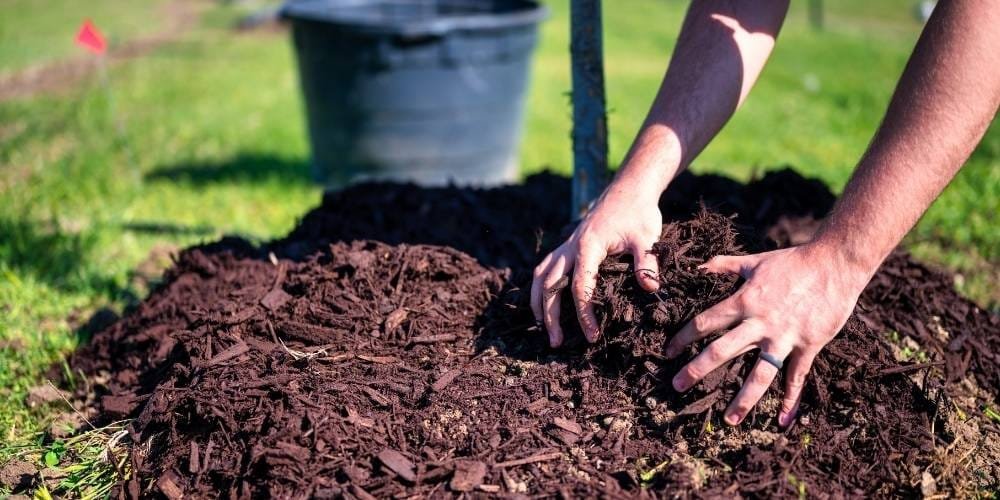 Soil and Mulch Preparation