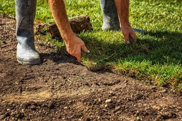 Sod Installation