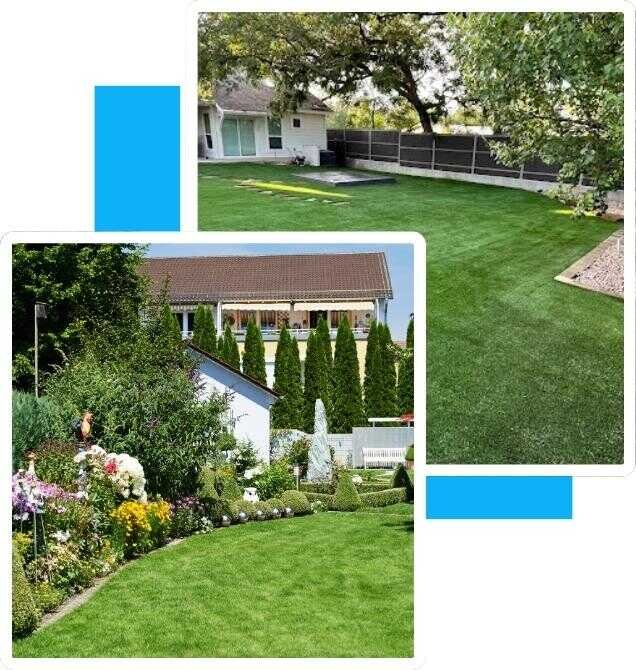Why Homeowners Trust Us for Landscaping in San Antonio, TX