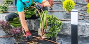 Irrigation System Tips for San Antonio Yards